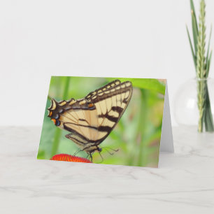 Cartes Pour Fêtes Annuelles Ailes de tigre - Papillon