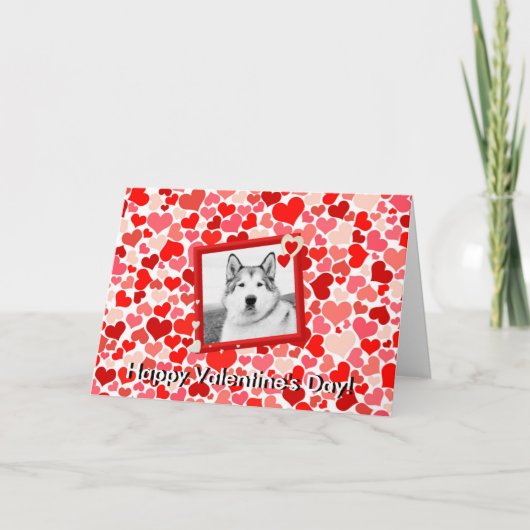 Cartes Pour Fêtes Annuelles Alaskan Malamute Chien Valentines Salutation cardi (Devant)