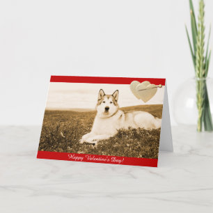 Cartes Pour Fêtes Annuelles Alaskan Malamute Happy Valentine
