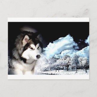 Cartes Pour Fêtes Annuelles Alaskan Malamute voeux de Noël