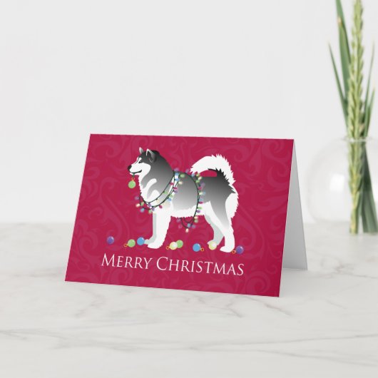 Cartes Pour Fêtes Annuelles Alaskien Malamute Chien Joyeux Noël Design (Devant)