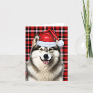 Cartes Pour Fêtes Annuelles Alaskien Malamute Noël Chien de vacances Plaid
