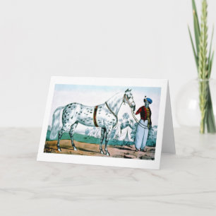 Cartes Pour Fêtes Annuelles Alexandre le cheval, USA 1840