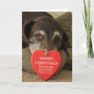 Cartes Pour Fêtes Annuelles Allemand Raccourci Joyeux Noël Nouvelle adresse