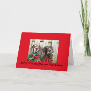 Cartes Pour Fêtes Annuelles Allemand Raccourci Joyeux Noël Nouvelle adresse