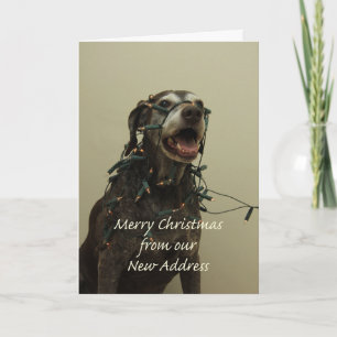 Cartes Pour Fêtes Annuelles Allemand Raccourci Joyeux Noël Nouvelle adresse