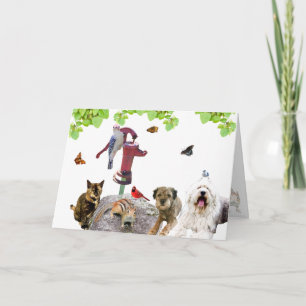 Cartes Pour Fêtes Annuelles Allez-y : tout le chaboodle-chaton :
