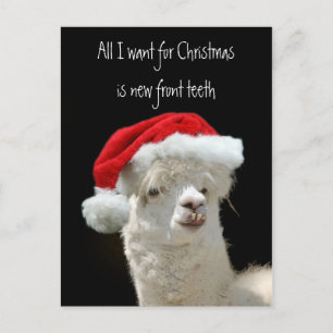 Cartes Pour Fêtes Annuelles Alpaca