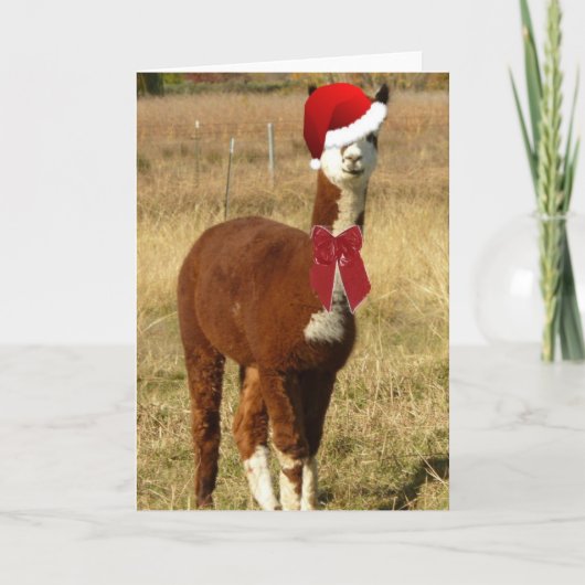 Cartes Pour Fêtes Annuelles Alpaca Père Noël (Devant)