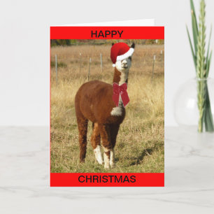 Cartes Pour Fêtes Annuelles Alpaca Père Noël