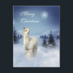 Cartes Pour Fêtes Annuelles Alpaca Winter<br><div class="desc">Our Alpaca Winter Night Christmas Postcards have a photo of alpaca in a winter scene with snow and stars in the night sky. Alpacas different from other farm animal because they are always smiling and they always look happy. The alpacas really adorable animals and our postcards would be perfect for...</div>