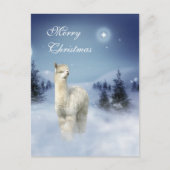 Cartes Pour Fêtes Annuelles Alpaca Winter (Devant)