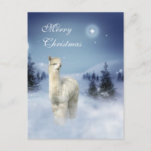 Cartes Pour Fêtes Annuelles Alpaca Winter (Devant)