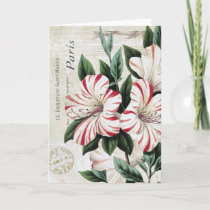 Cartes Pour Fêtes Annuelles amarylis français vintage moderne