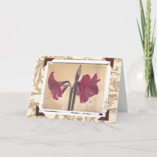 Cartes Pour Fêtes Annuelles amaryllis_2 (Devant)