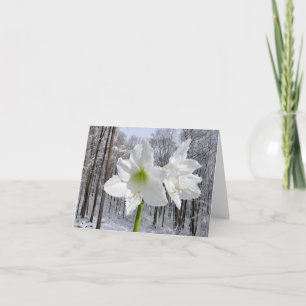 Cartes Pour Fêtes Annuelles Amaryllis blanche et neige I