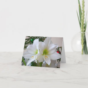 Cartes Pour Fêtes Annuelles Amaryllis blanche et sapin de Noël