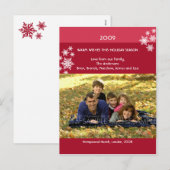 Cartes Pour Fêtes Annuelles Amaryllis Snowflakes : Photo de Christma Postcard (Devant / Derrière)