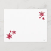 Cartes Pour Fêtes Annuelles Amaryllis Snowflakes : Photo de Christma Postcard (Dos)