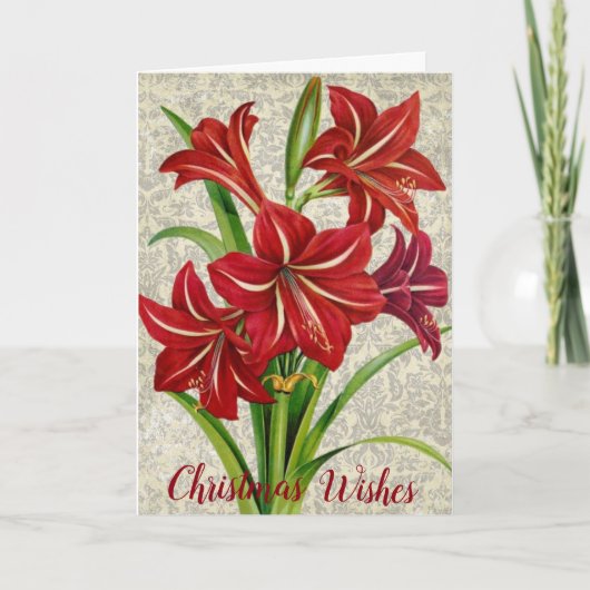 Cartes Pour Fêtes Annuelles Amaryllis, voeux de Noël. (Devant)