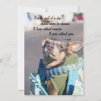 Cartes Pour Fêtes Annuelles Âme d'un chien - Chihuahua