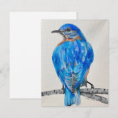 Cartes Pour Fêtes Annuelles American Bluebird (Devant / Derrière)