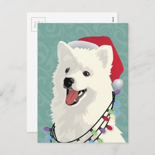 Cartes Pour Fêtes Annuelles American Eskimo Samoyé mignon Chien Chien Chien Ch (Devant / Derrière)