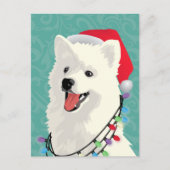 Cartes Pour Fêtes Annuelles American Eskimo Samoyé mignon Chien Chien Chien Ch (Devant)
