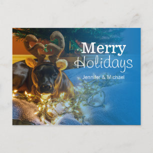 Cartes Pour Fêtes Annuelles American Staffordshire Terrier