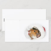 Cartes Pour Fêtes Annuelles Amis de Noël (Devant / Derrière)