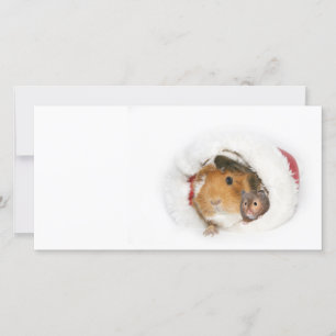 Cartes Pour Fêtes Annuelles Amis de Noël