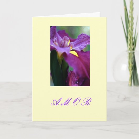 Cartes Pour Fêtes Annuelles "Amor " (Devant)