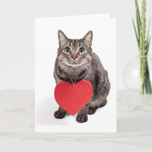 Cartes Pour Fêtes Annuelles Amour de chat