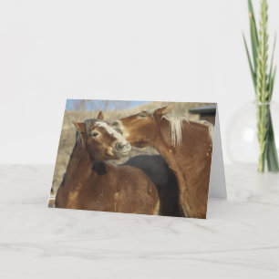 Cartes Pour Fêtes Annuelles Amour de cheval