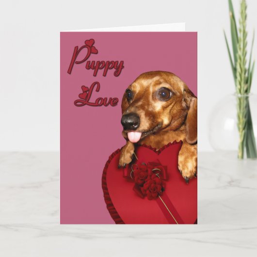 Cartes Pour Fêtes Annuelles Amour de chiot Valentine (Devant)