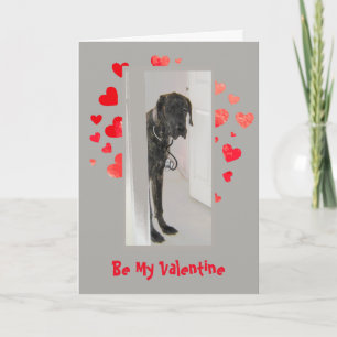 Cartes Pour Fêtes Annuelles Amour de la cause I Woof vous chien Valentine de
