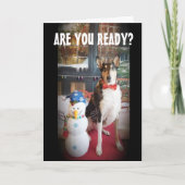 CARTES POUR FÊTES ANNUELLES AMOUR PUPPY NAUGHTY OU NICE À NOËL (Devant)