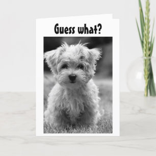 CARTES POUR FÊTES ANNUELLES AMOUR PUPPY NAUGHTY OU NICE À NOËL