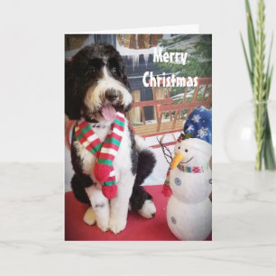 CARTES POUR FÊTES ANNUELLES AMOUR PUPPY NAUGHTY OU NICE À NOËL