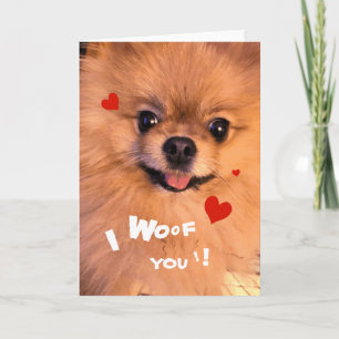 Cartes Pour Fêtes Annuelles Amoureux adorable mignon Valentine de Pomeranian