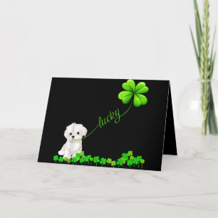 Cartes Pour Fêtes Annuelles amoureux des chiens   Shamrock irlandais chanceux 