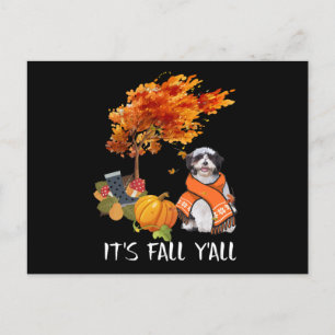 Cartes Pour Fêtes Annuelles Amoureux des chiens Shih Tzu est Yall Fall Yall