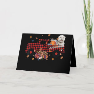 Cartes Pour Fêtes Annuelles Amoureux des chiens  Thanksgiving, camion Citrouil