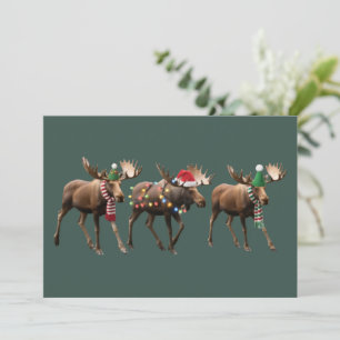 Cartes Pour Fêtes Annuelles Amoureux du renne de Noël Élan Lumières de Noël Fê