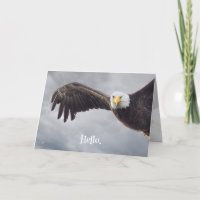 Amusant Aigle Bonjour Toute Occasion Vide