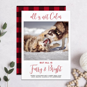 Cartes Pour Fêtes Annuelles Amusant animal de compagnie Furry et brillant Plai