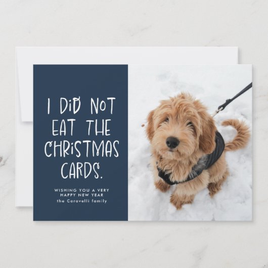 Cartes Pour Fêtes Annuelles Amusant animal une photo marine Nouvel An (Devant)