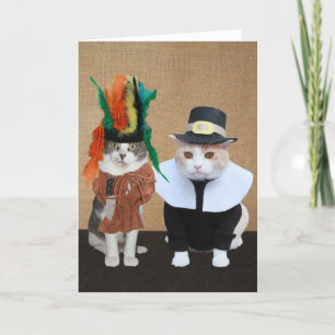 Cartes Pour Fêtes Annuelles Amusant chef et Amoureux des chats pèlerin Thanksg