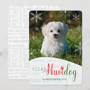 Cartes Pour Fêtes Annuelles Amusant chien Fleas NaviDOG Photo de Noël