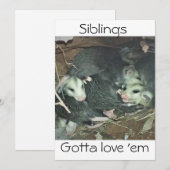 Cartes Pour Fêtes Annuelles Amusants frères Possum (Devant / Derrière)